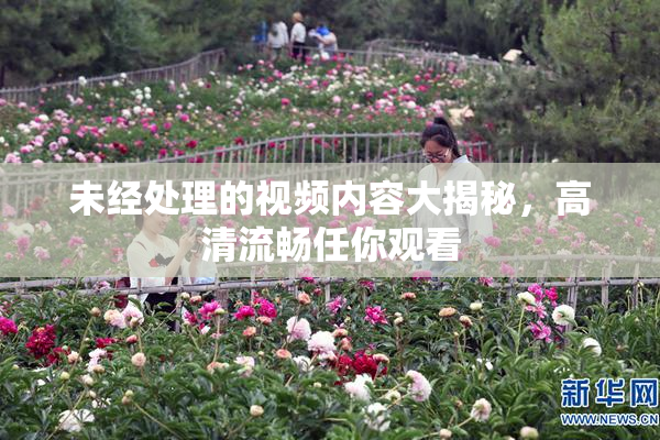 未经处理的视频内容大揭秘，高清流畅任你观看