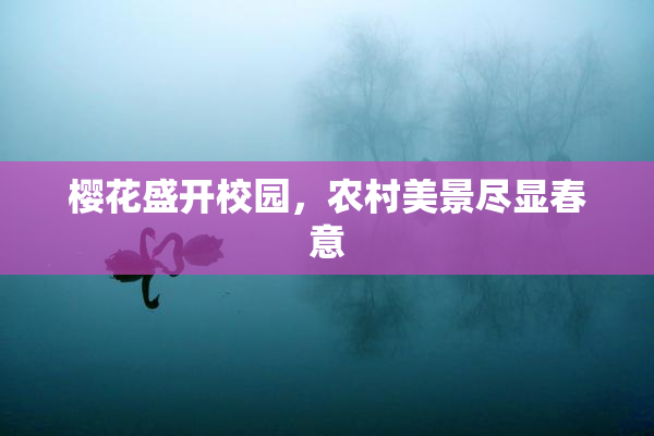 樱花盛开校园，农村美景尽显春意