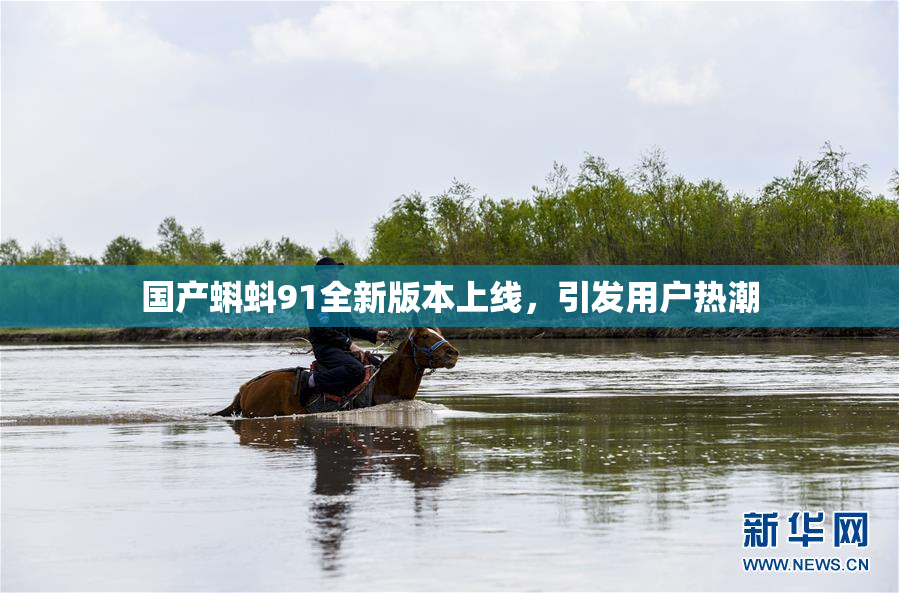 国产蝌蚪91全新版本上线，引发用户热潮