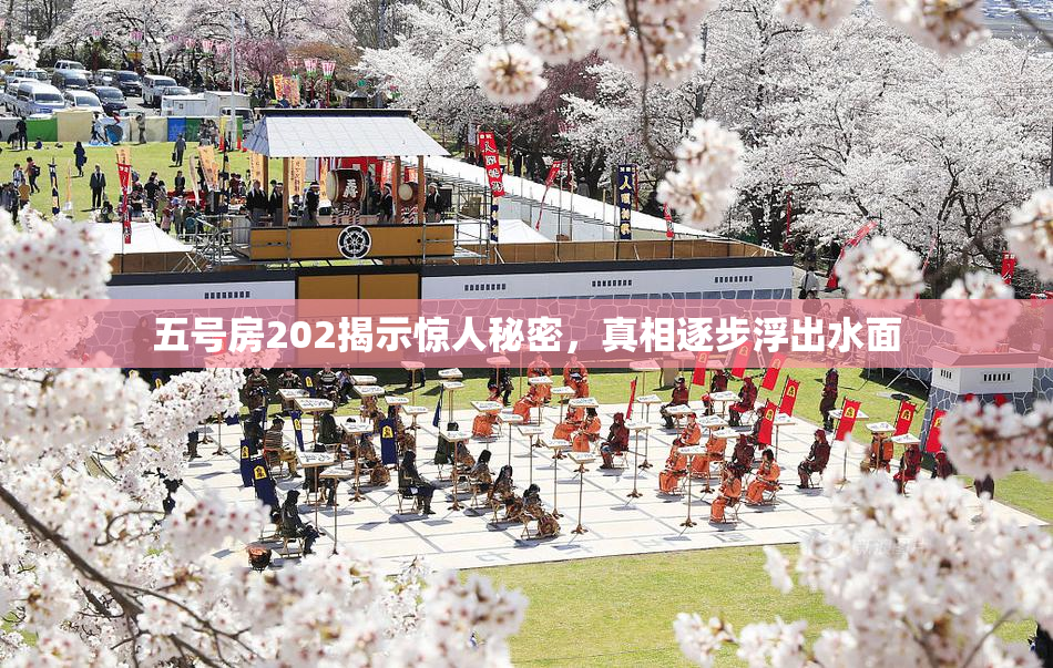 五号房202揭示惊人秘密，真相逐步浮出水面