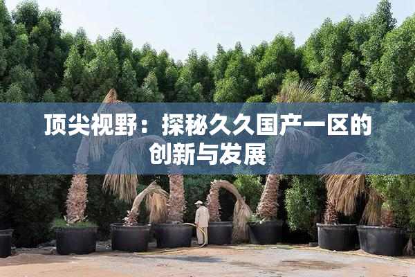 顶尖视野：探秘久久国产一区的创新与发展