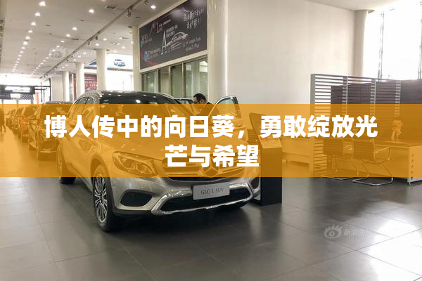 博人传中的向日葵，勇敢绽放光芒与希望