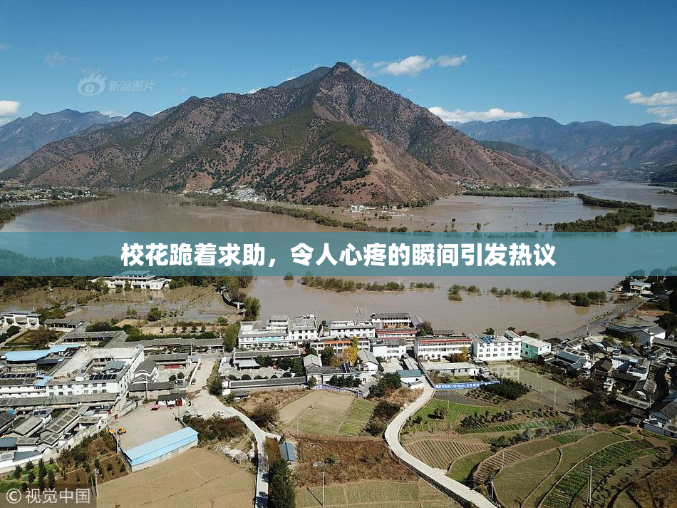 校花跪着求助，令人心疼的瞬间引发热议