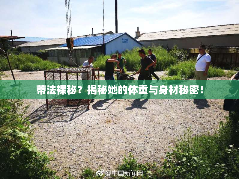 蒂法裸秘？揭秘她的体重与身材秘密！