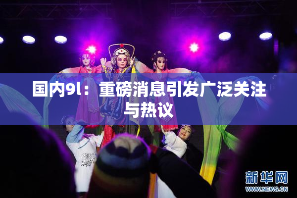 国内9l：重磅消息引发广泛关注与热议