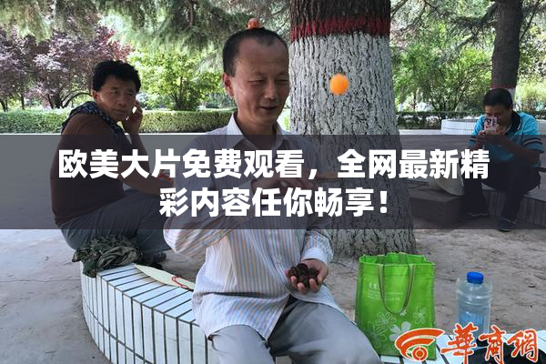 欧美大片免费观看，全网最新精彩内容任你畅享！