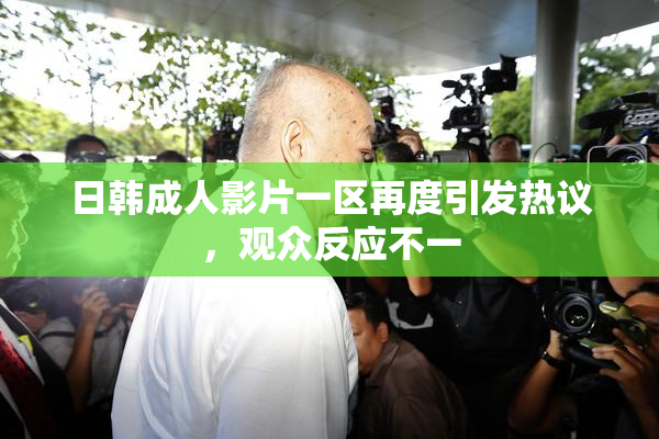日韩成人影片一区再度引发热议，观众反应不一