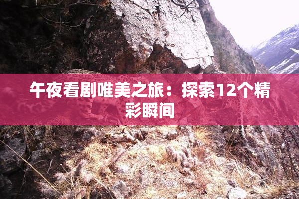 午夜看剧唯美之旅：探索12个精彩瞬间