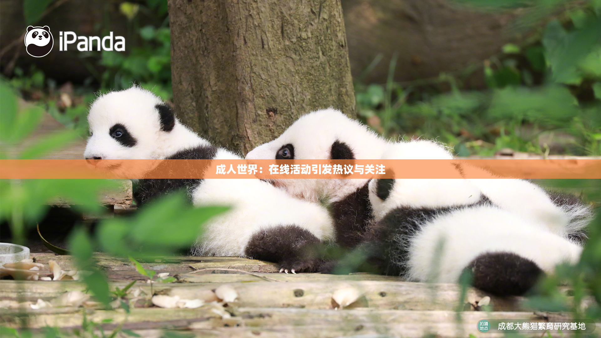 成人世界：在线活动引发热议与关注
