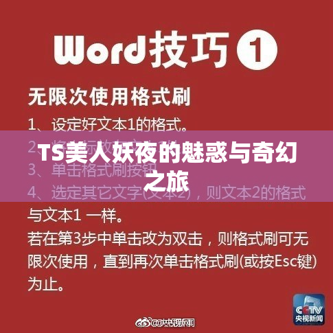TS美人妖夜的魅惑与奇幻之旅