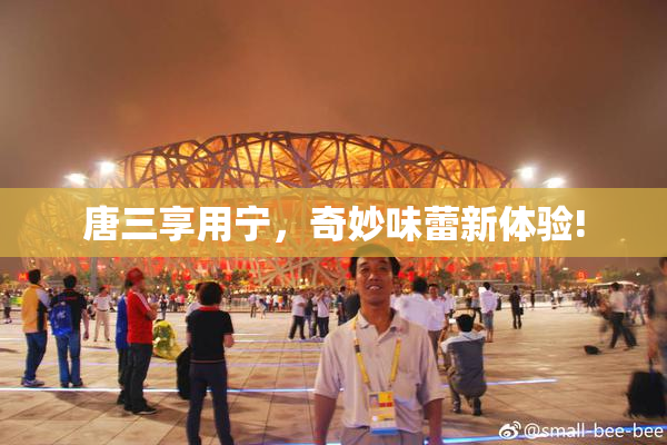唐三享用宁，奇妙味蕾新体验!