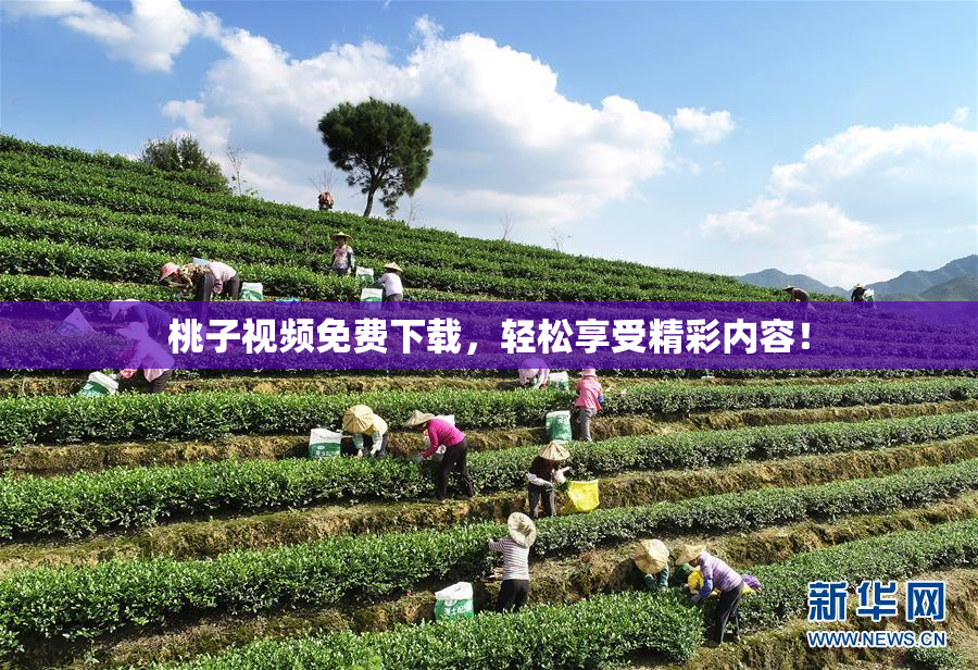 桃子视频免费下载，轻松享受精彩内容！