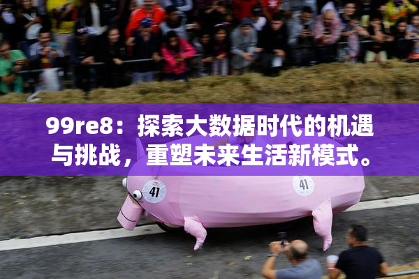 99re8：探索大数据时代的机遇与挑战，重塑未来生活新模式。