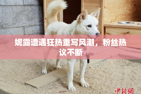 妮露遭遇狂热重写风潮，粉丝热议不断