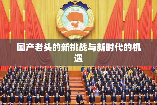 国产老头的新挑战与新时代的机遇