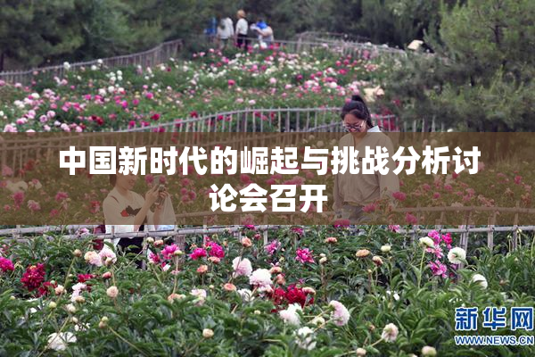 中国新时代的崛起与挑战分析讨论会召开