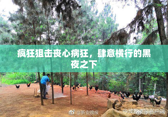 疯狂狙击丧心病狂，肆意横行的黑夜之下