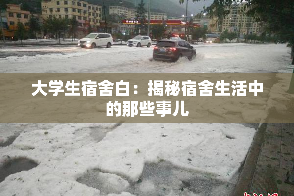 大学生宿舍白：揭秘宿舍生活中的那些事儿