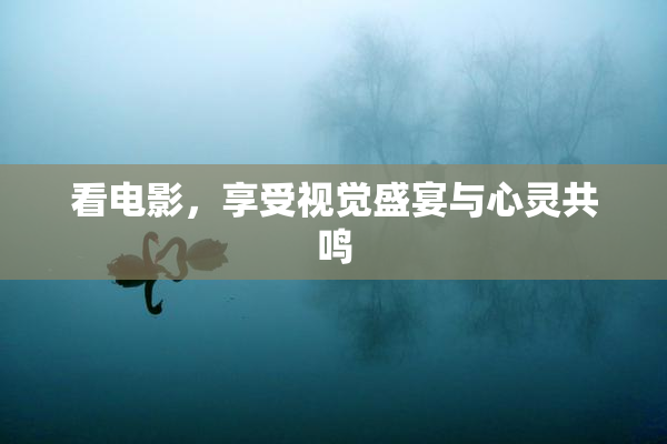 看电影，享受视觉盛宴与心灵共鸣