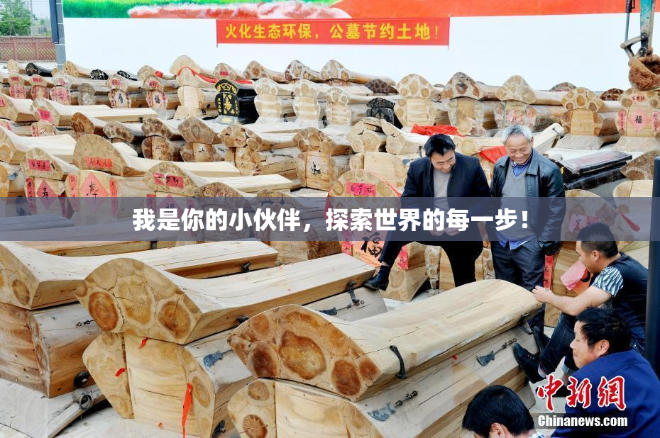 我是你的小伙伴，探索世界的每一步！