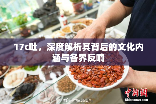 17c吐，深度解析其背后的文化内涵与各界反响