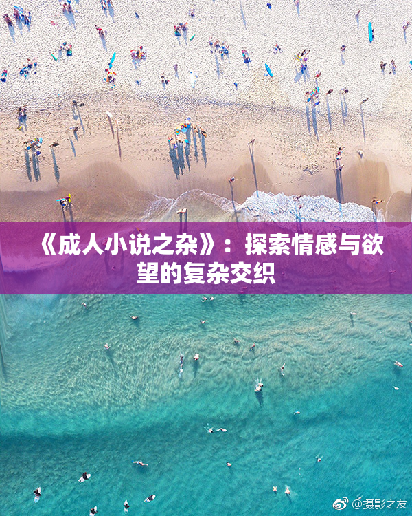 《成人小说之杂》：探索情感与欲望的复杂交织