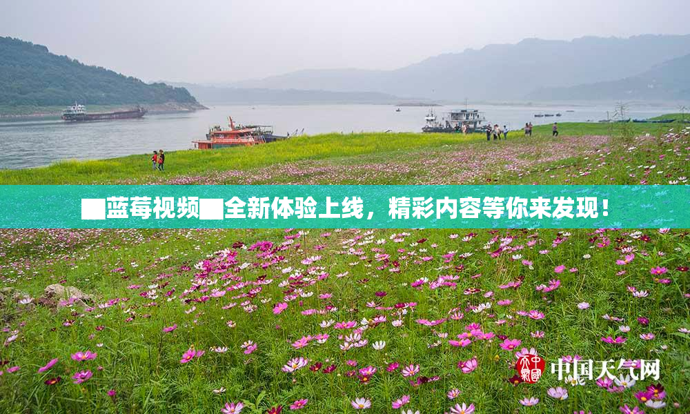 ▇蓝莓视频▇全新体验上线，精彩内容等你来发现！