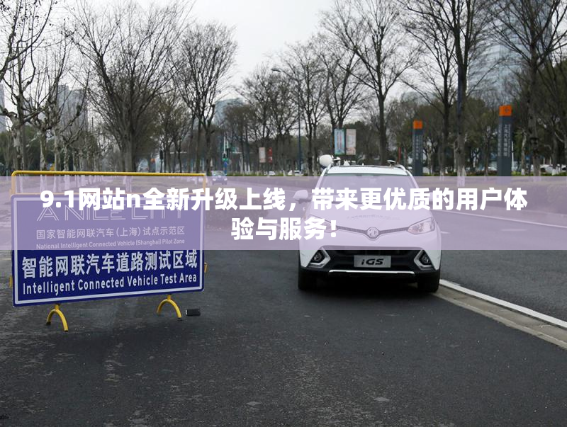 9.1网站n全新升级上线，带来更优质的用户体验与服务！