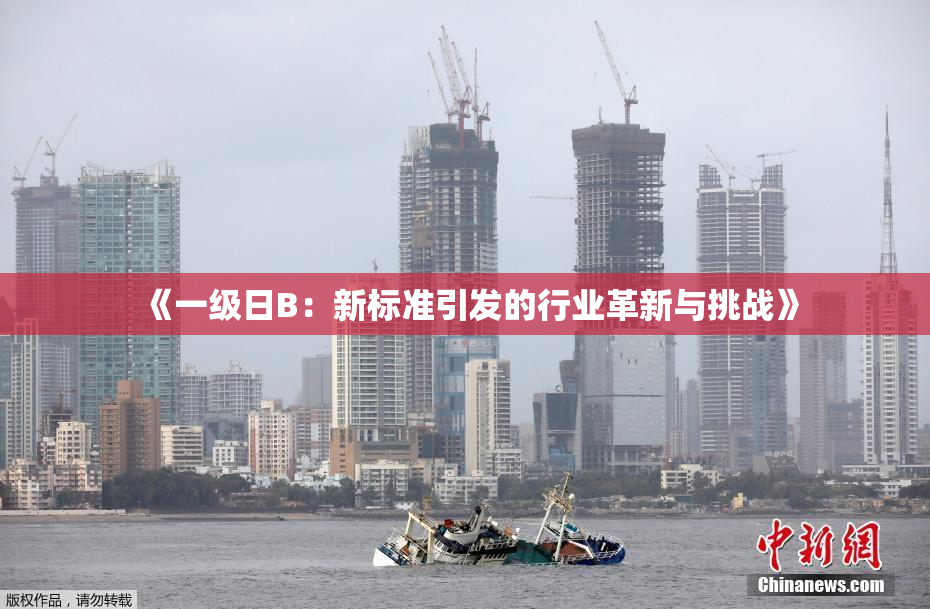 《一级日B：新标准引发的行业革新与挑战》
