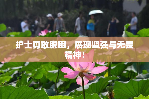 护士勇敢脱困，展现坚强与无畏精神！