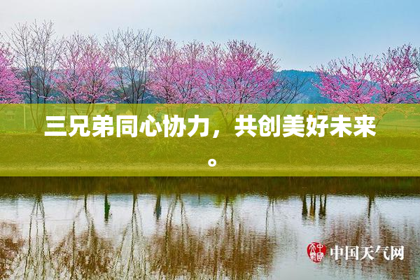 三兄弟同心协力，共创美好未来。