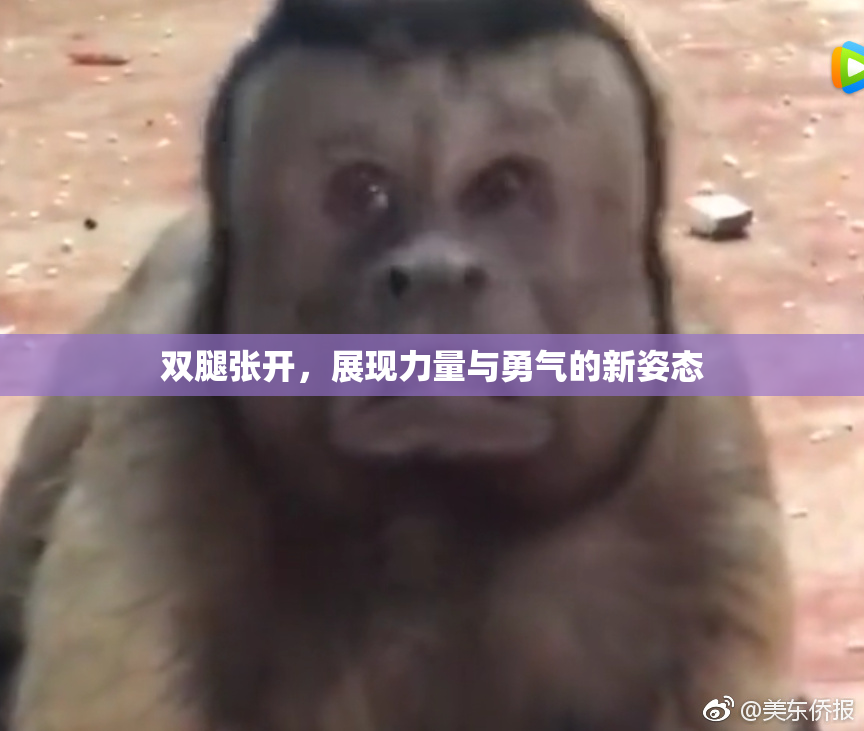 双腿张开，展现力量与勇气的新姿态