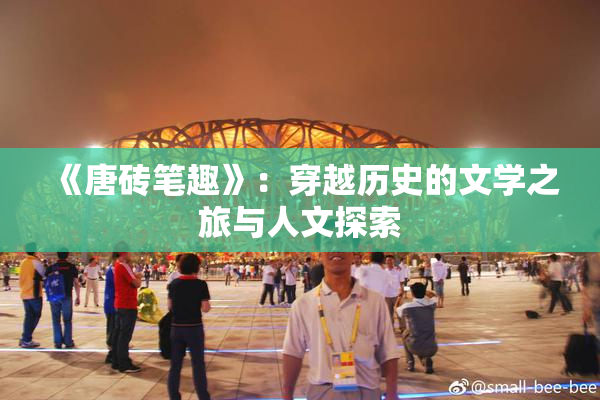《唐砖笔趣》：穿越历史的文学之旅与人文探索