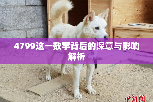 4799这一数字背后的深意与影响解析