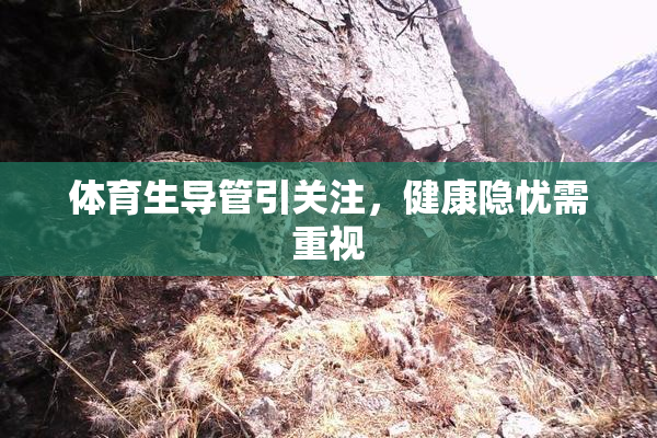 体育生导管引关注，健康隐忧需重视