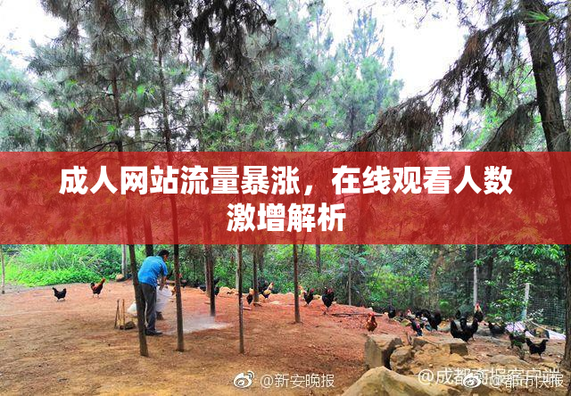 成人网站流量暴涨，在线观看人数激增解析