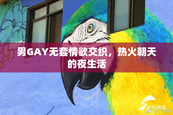 男GAY无套情欲交织，热火朝天的夜生活