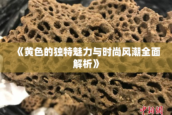 《黄色的独特魅力与时尚风潮全面解析》