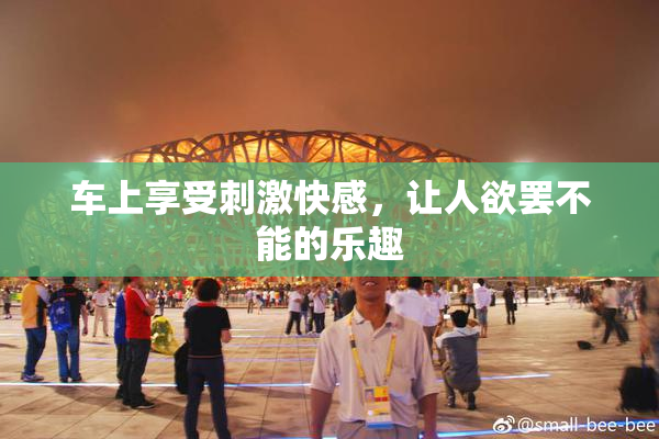 车上享受刺激快感，让人欲罢不能的乐趣