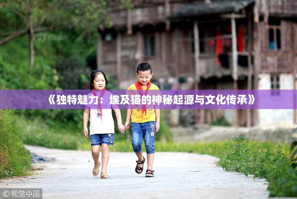 《独特魅力：埃及猫的神秘起源与文化传承》