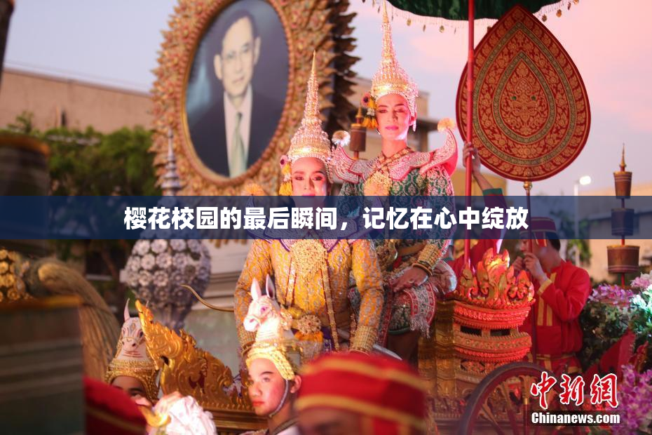 樱花校园的最后瞬间，记忆在心中绽放