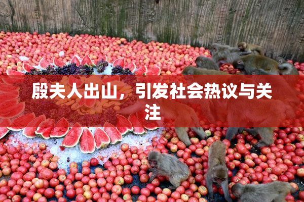 殷夫人出山，引发社会热议与关注