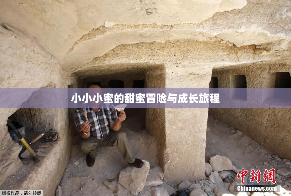 小小小蜜的甜蜜冒险与成长旅程