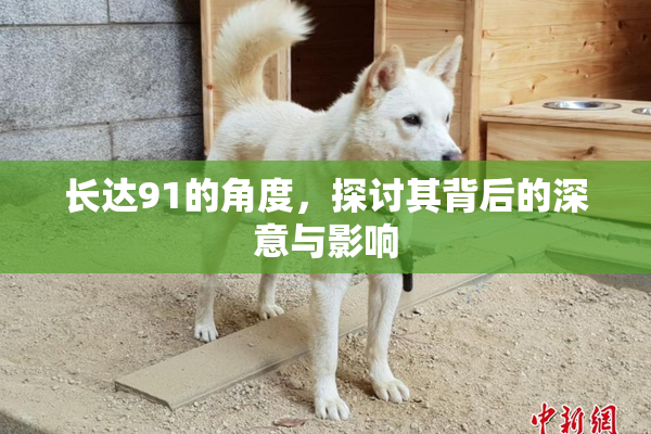 长达91的角度，探讨其背后的深意与影响