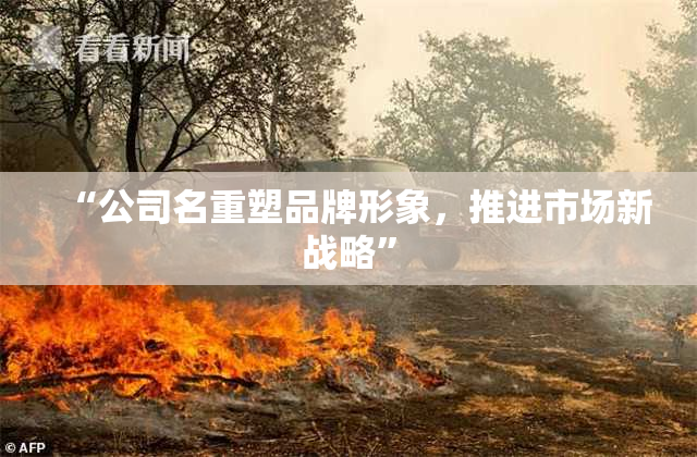 “公司名重塑品牌形象，推进市场新战略”