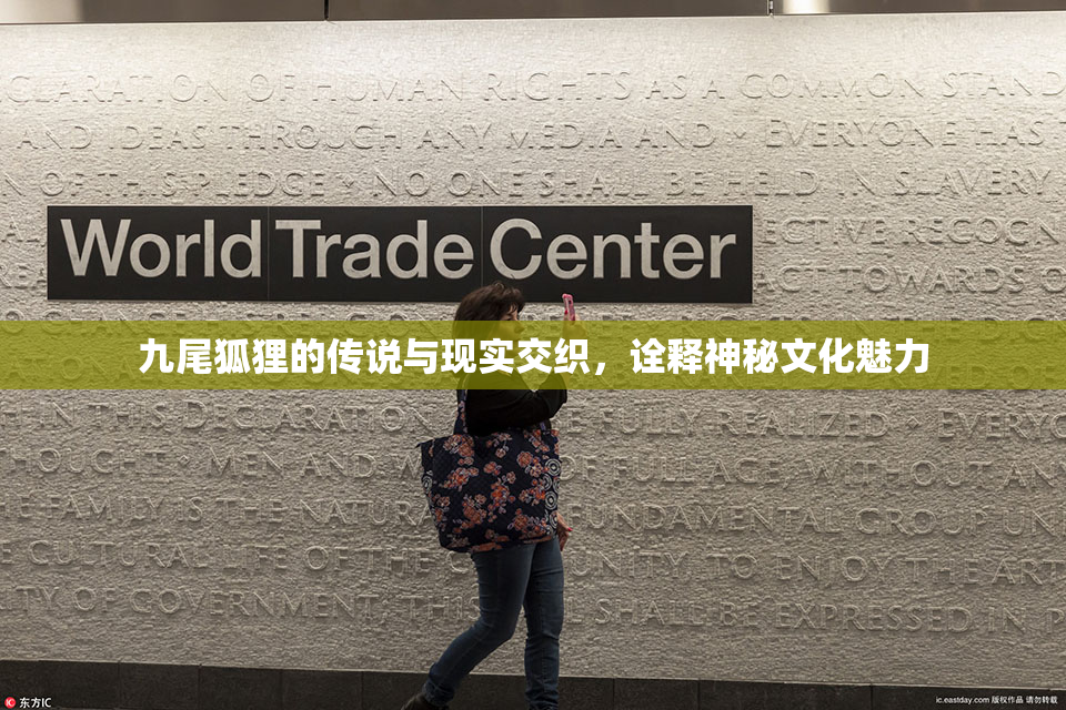 九尾狐狸的传说与现实交织，诠释神秘文化魅力