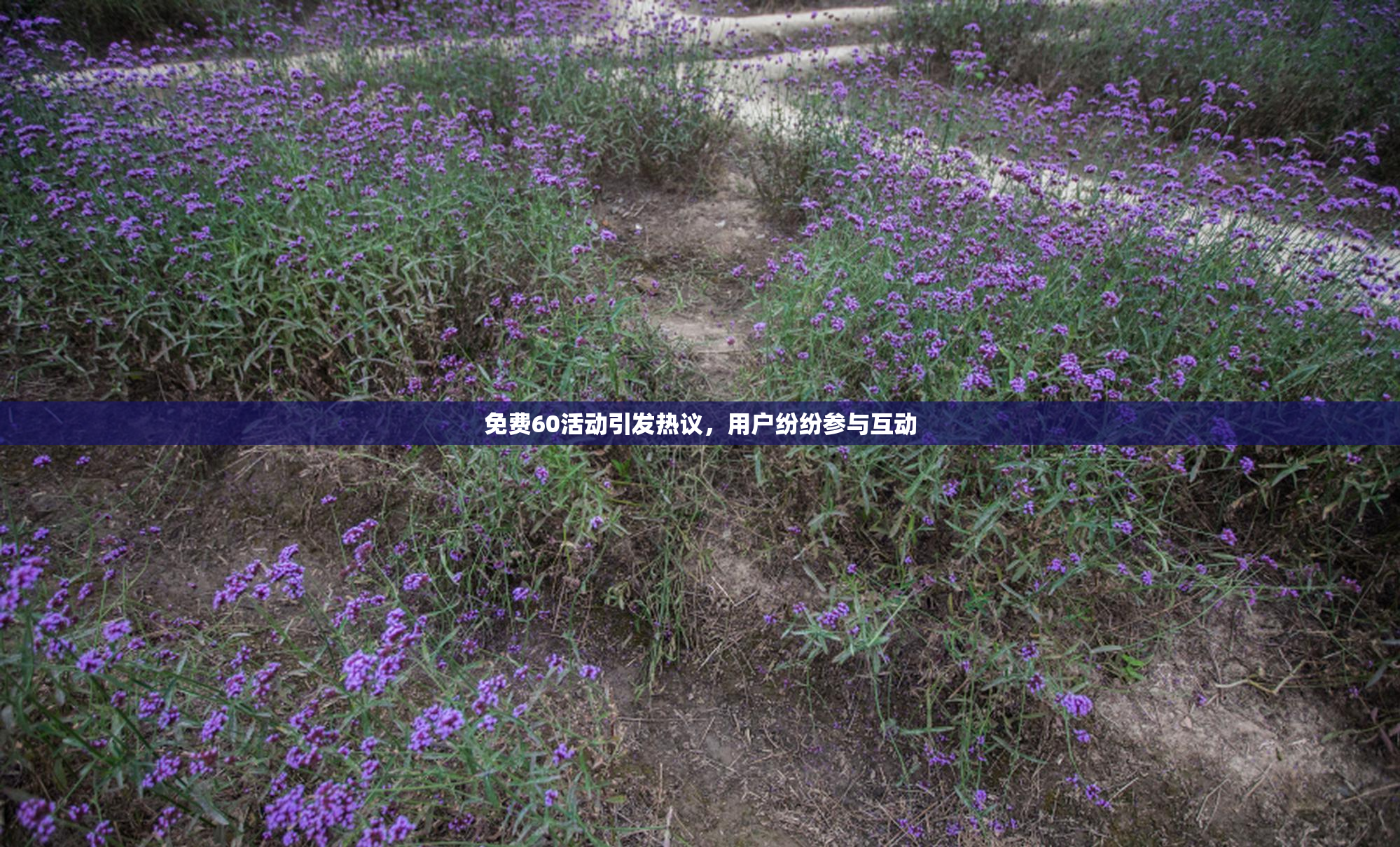 免费60活动引发热议，用户纷纷参与互动