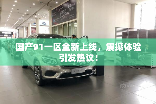 国产91一区全新上线，震撼体验引发热议！