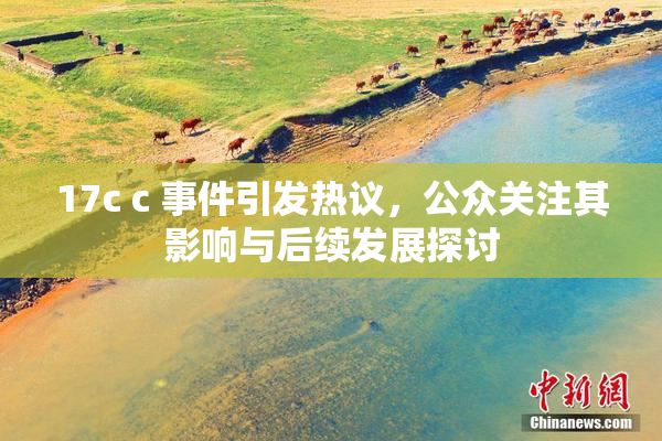 17c c 事件引发热议，公众关注其影响与后续发展探讨