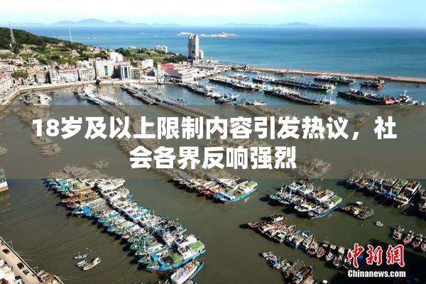 18岁及以上限制内容引发热议，社会各界反响强烈